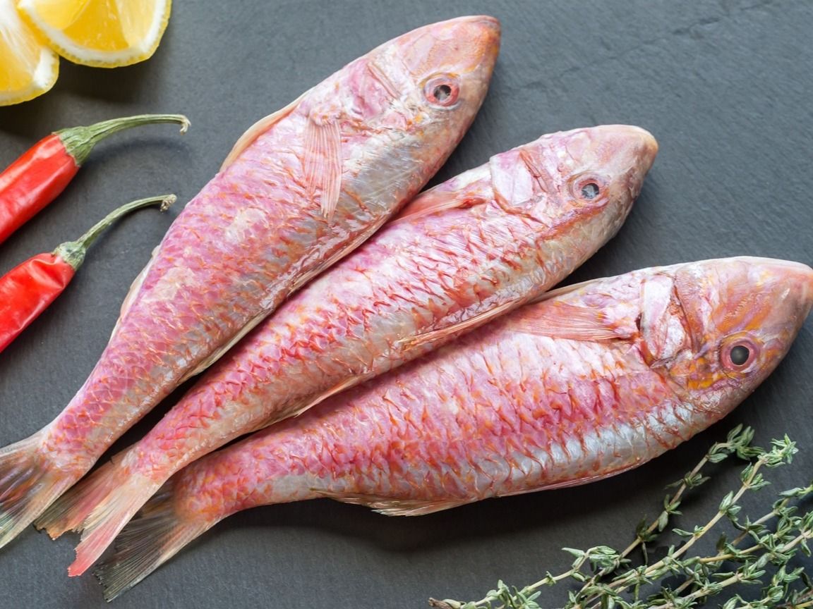 Clean Fresh Raw Mullus Barbatus