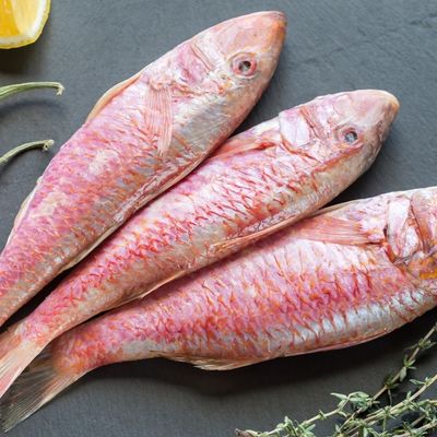 Fresh, Cleaned Red Mullet