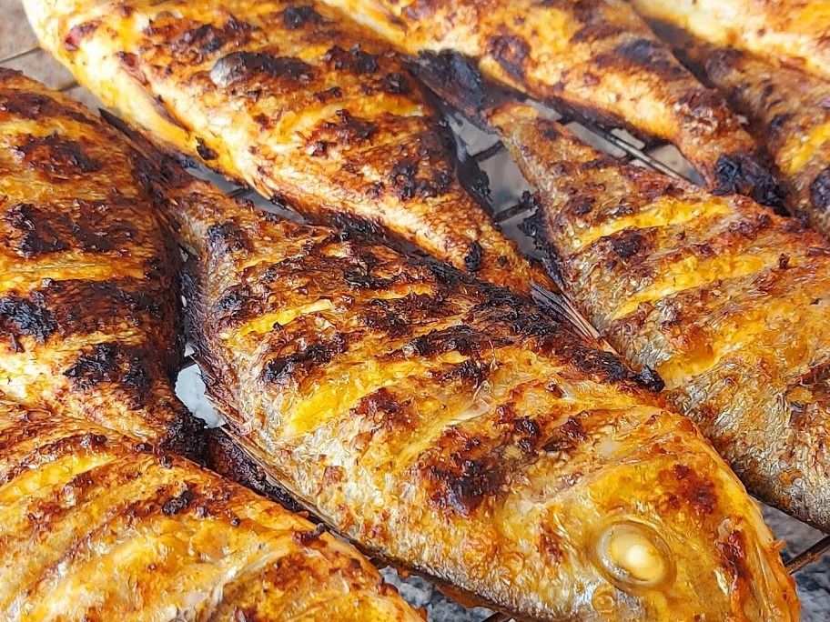 Baladi Sea Bream