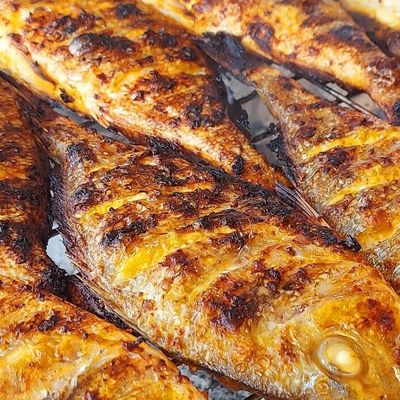 Local Seabream