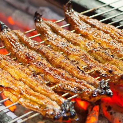 Eel Fish.