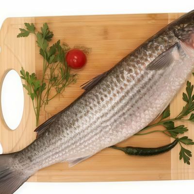 Fresh raw mullet fish
