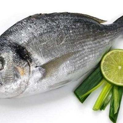 Fresh Fresh Sea Bream Fish