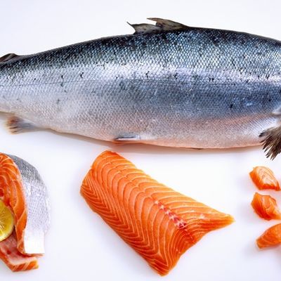 Fresh raw salmon