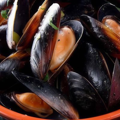 Fresh Fresh Mussels