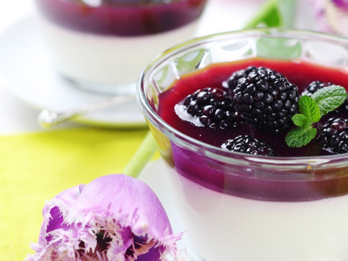 Panna Cotta