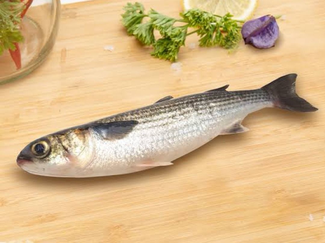 Uncooked Mullet Fish
