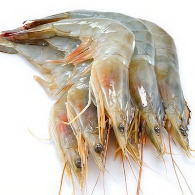 Medium Shrimp With Peel Uncooked