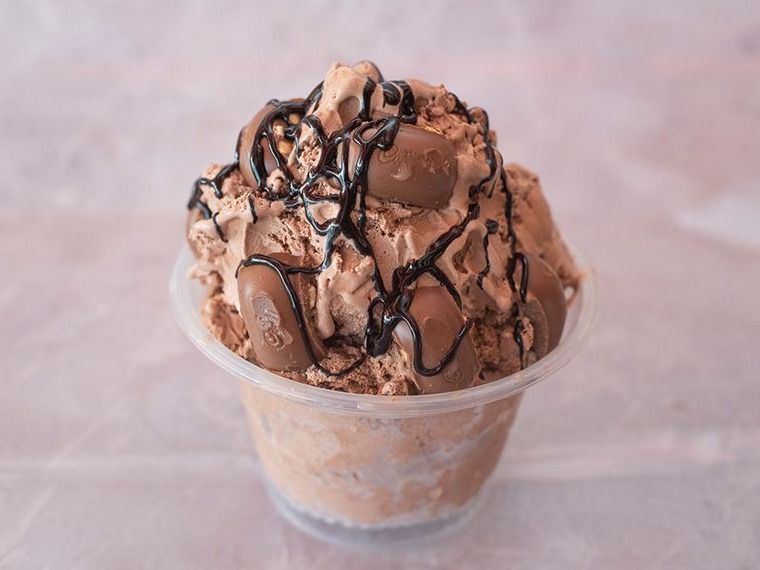Todo Chocolate Ice Cream