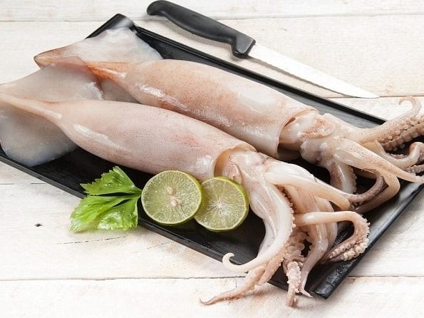 3/4 Kg Squid