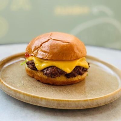 X Holland Cheese Burger Sandwich