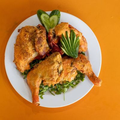 Plain Turkish Chicken