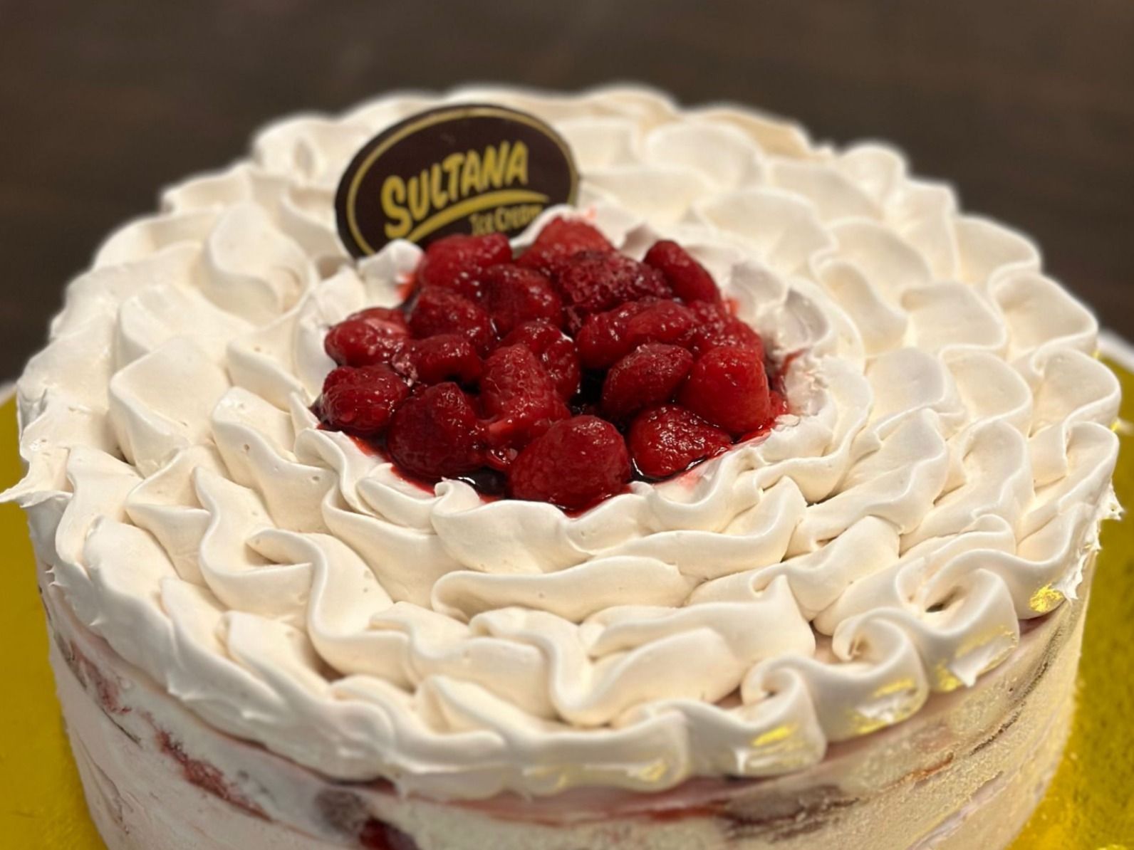 Yogurt and Berry Ice Cream Cake
