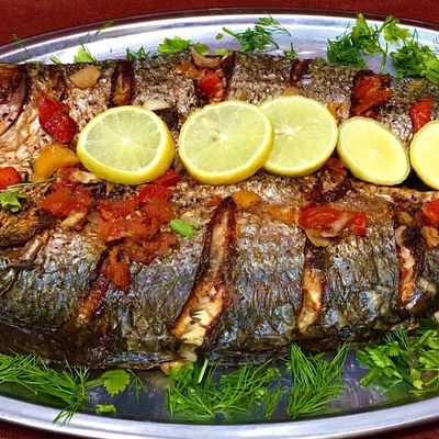 أَسْمَاكْ التَّزَاجْ photo 6