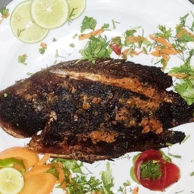 Tilapia Fish
