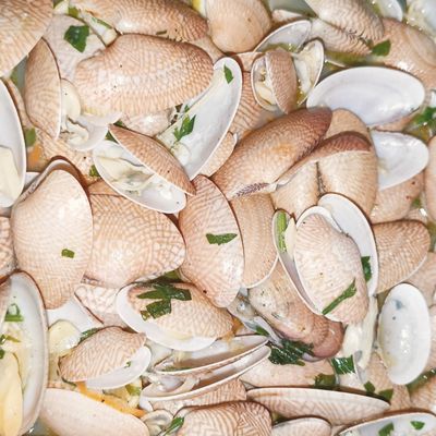 Clams