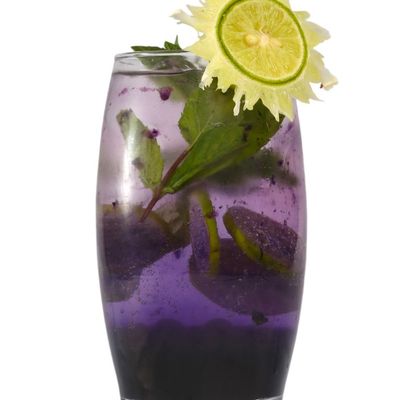 Blueberry Mojito