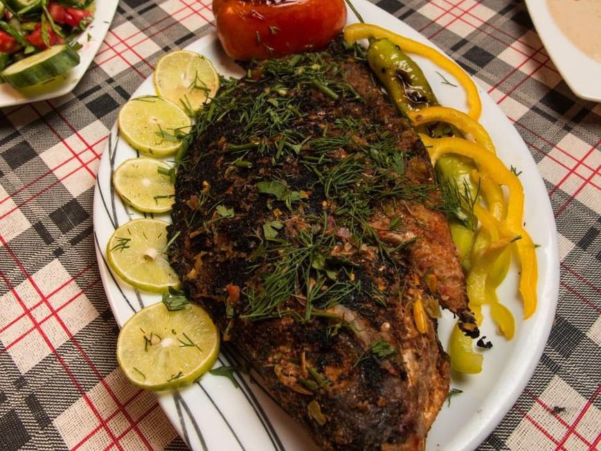 Tilapia Fish Meal
