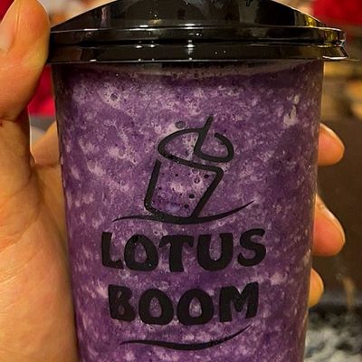 Lotus Boom photo 11