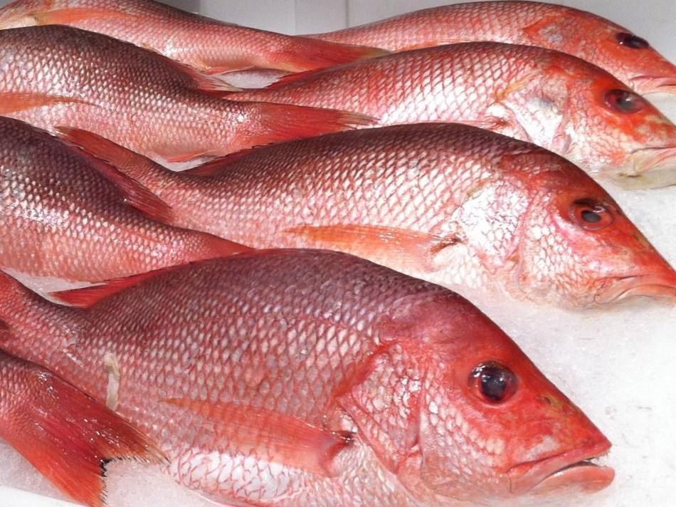 Fried Sea Bream Abu Sharara