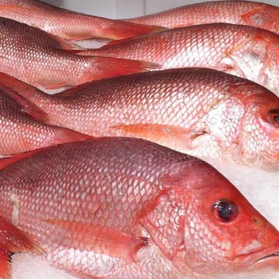 Fried Sea Bream Abu Sharara