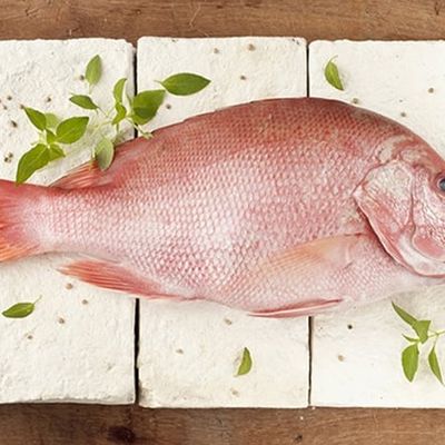 Marjan Abu Naddara Fried
