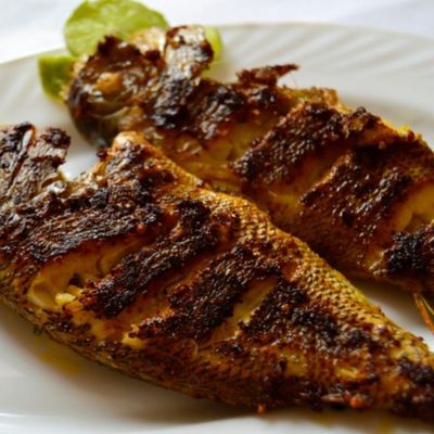 مرجان أبو نظارة مشوي