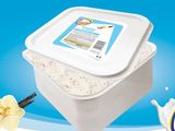 Large Gallon Family Ice Cream