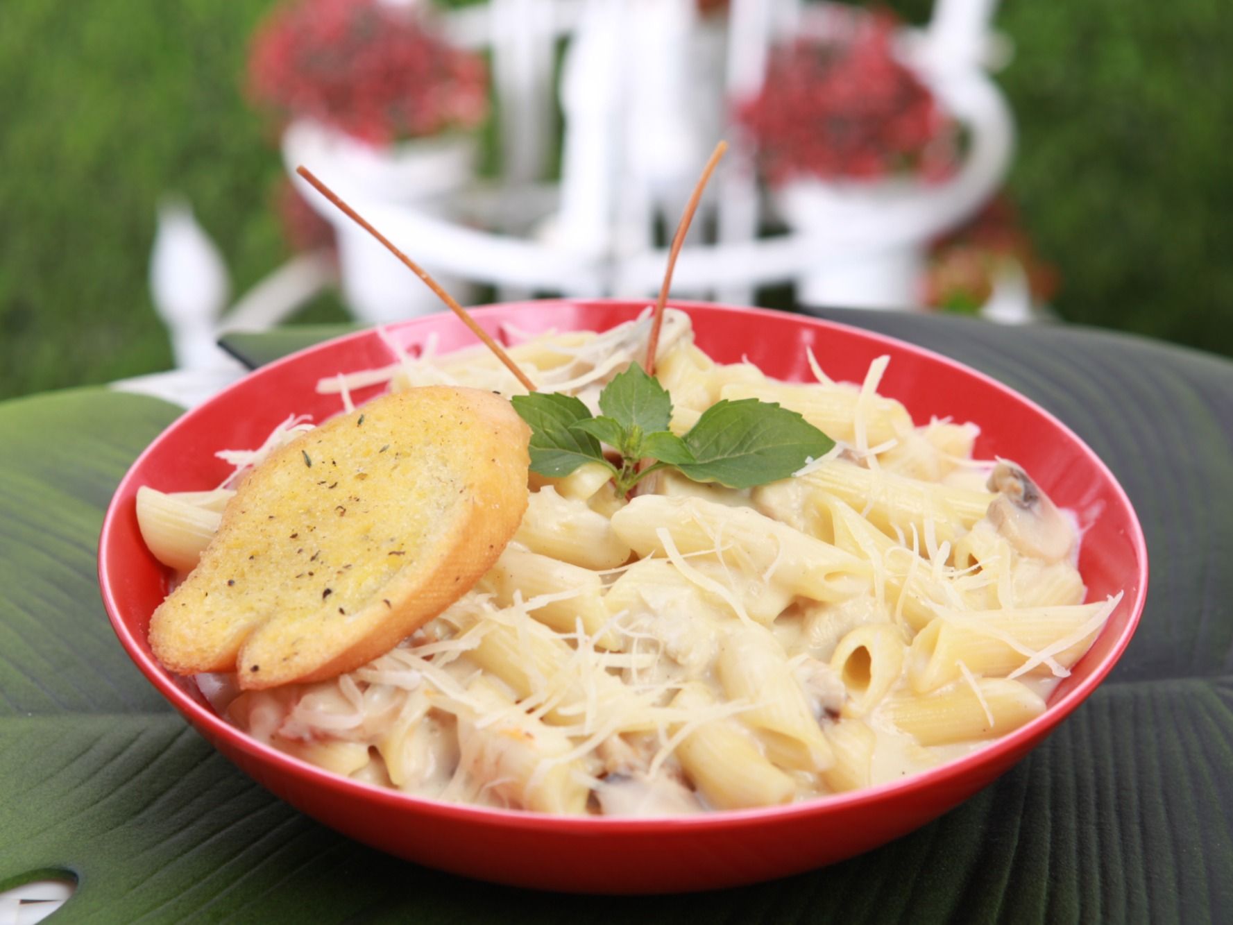 Creamy White Pasta