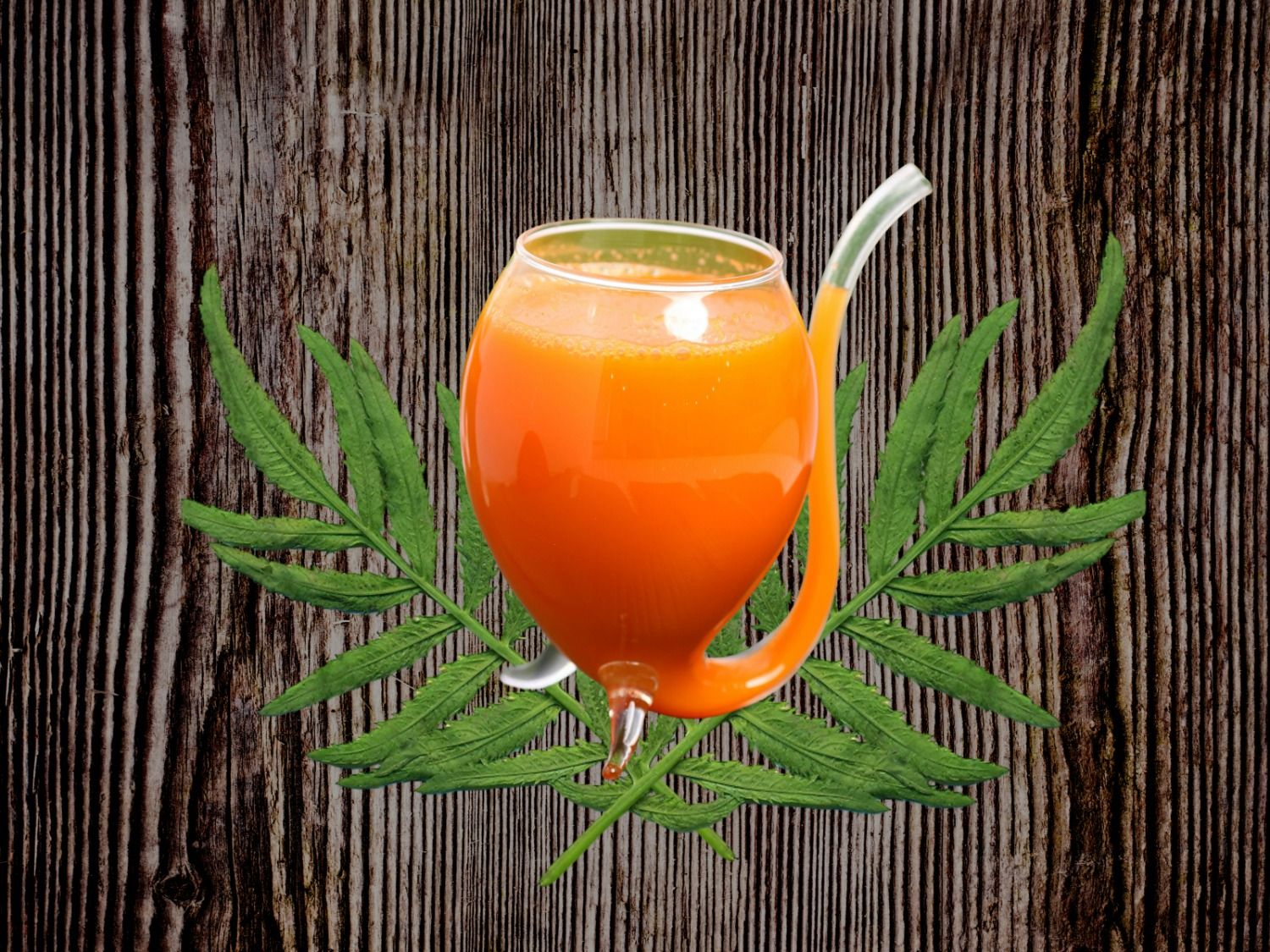 Fresh Carrot Juice