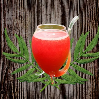 Fresh Watermelon Juice