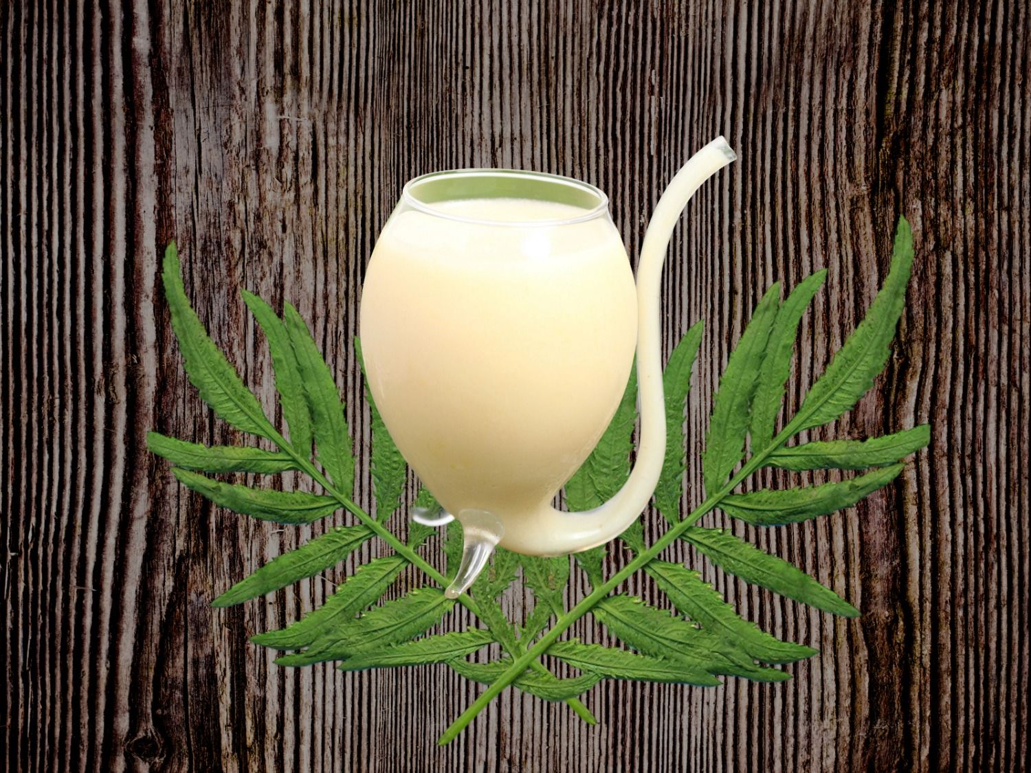 Fresh Guava Juice