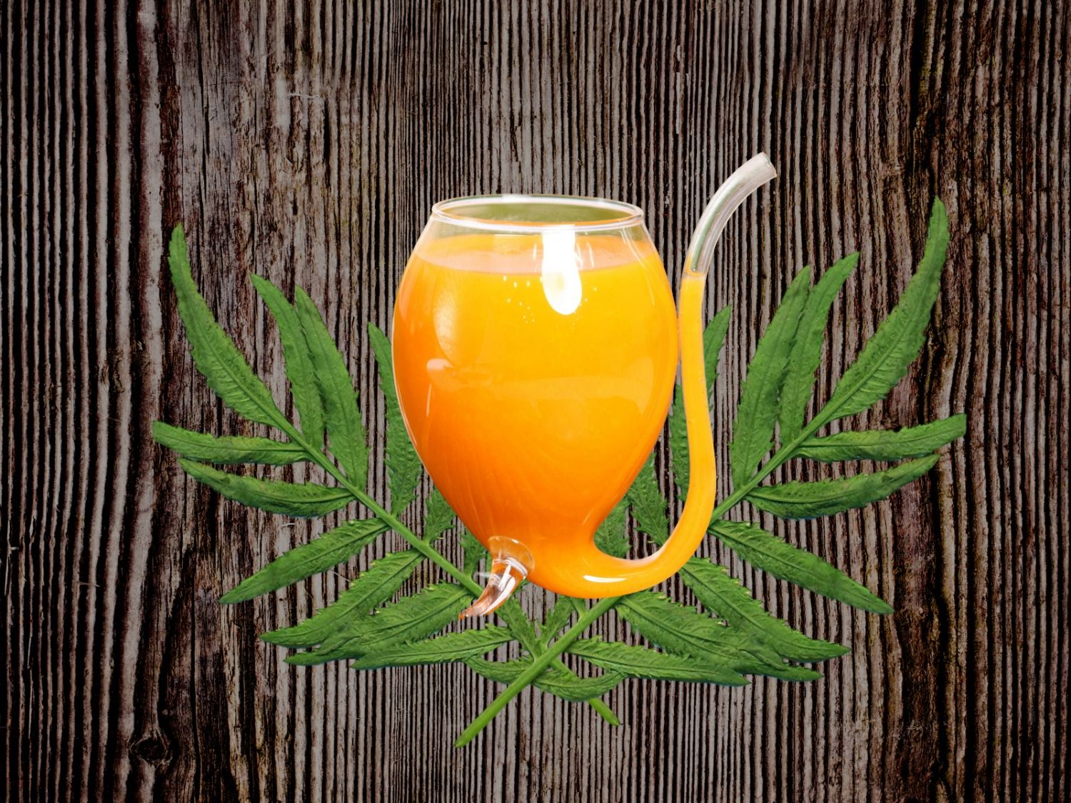 Fresh Mango Juice