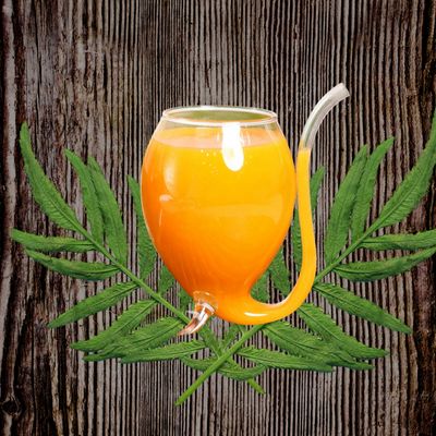 Fresh Mango Juice