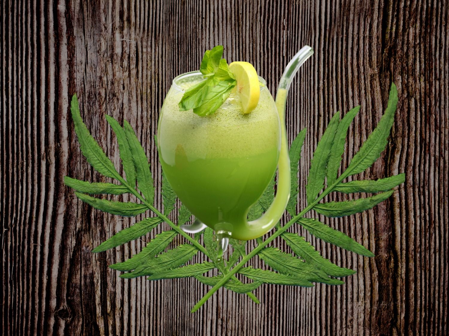 Mint Lemon Mocktail