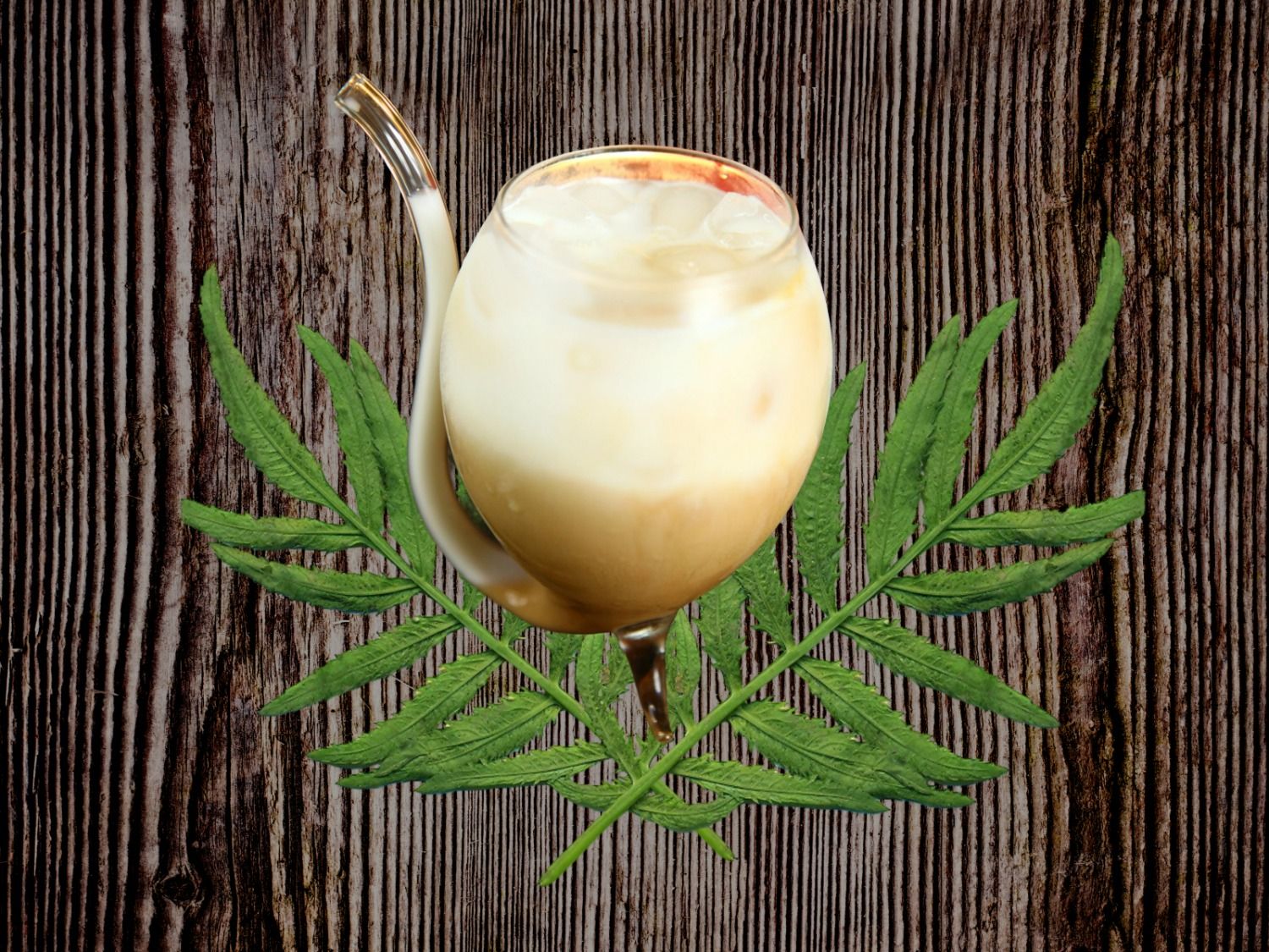 Iced Latte