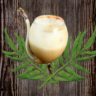 Iced Latte