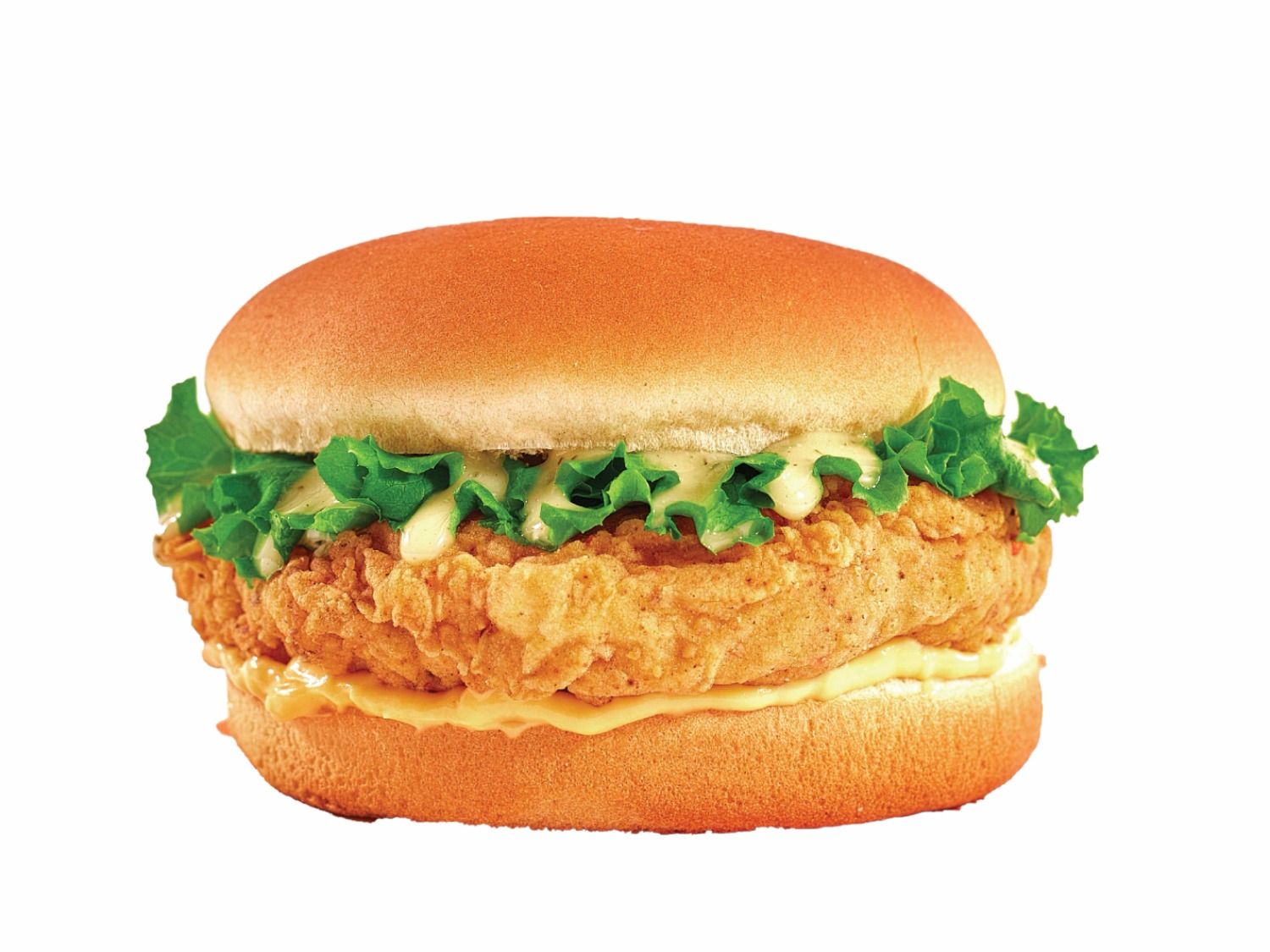 Todo Chicken Burger