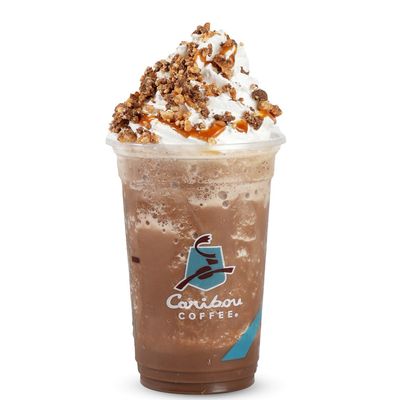 TurtleMocha Cooler