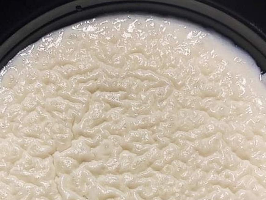plain rice pudding