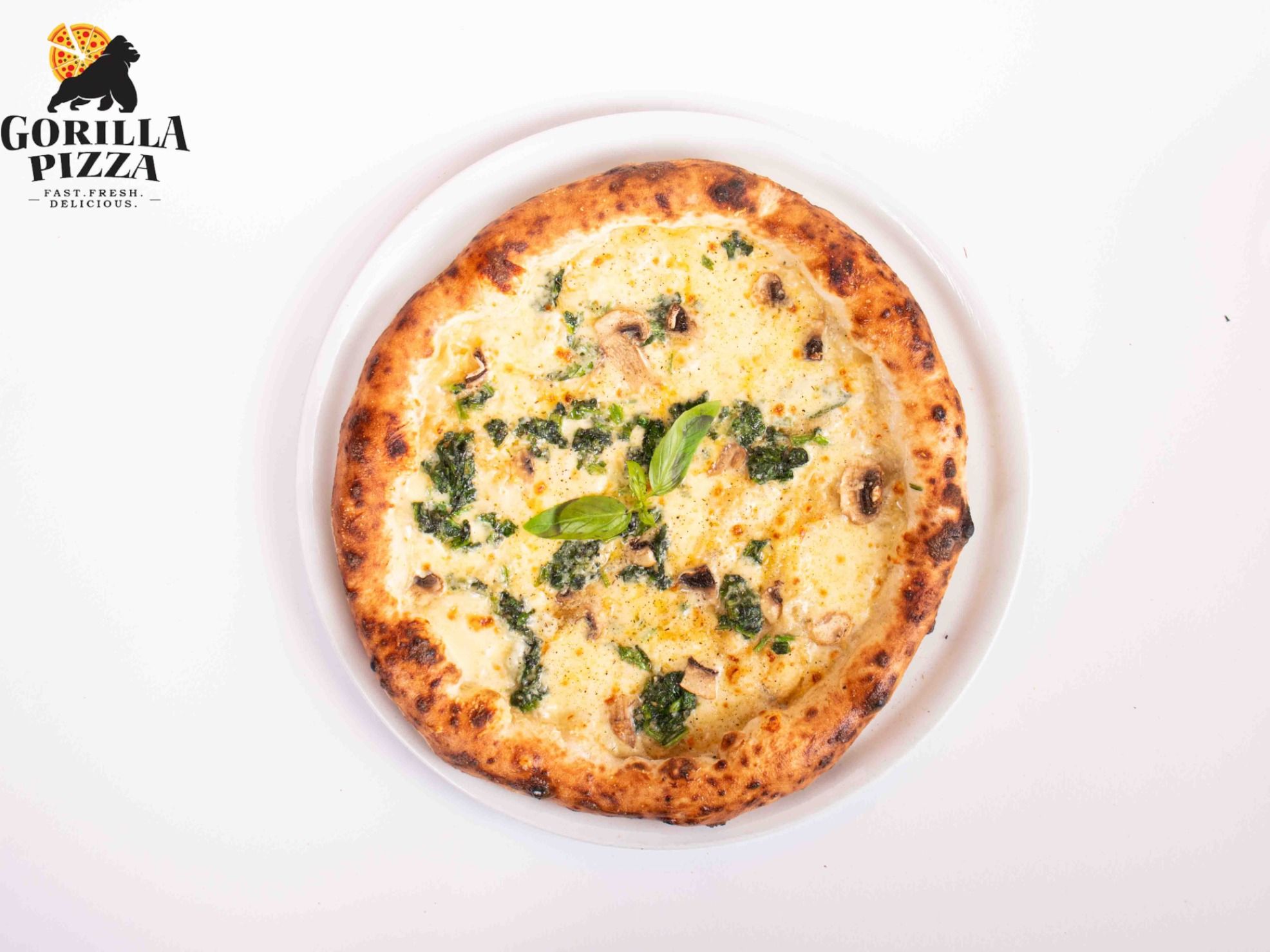 Chicken Spinach Alfredo