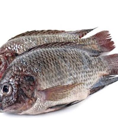 Al Waleed Fish Seafood photo 8