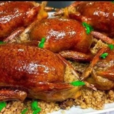 Stuffed Pigeons Pair