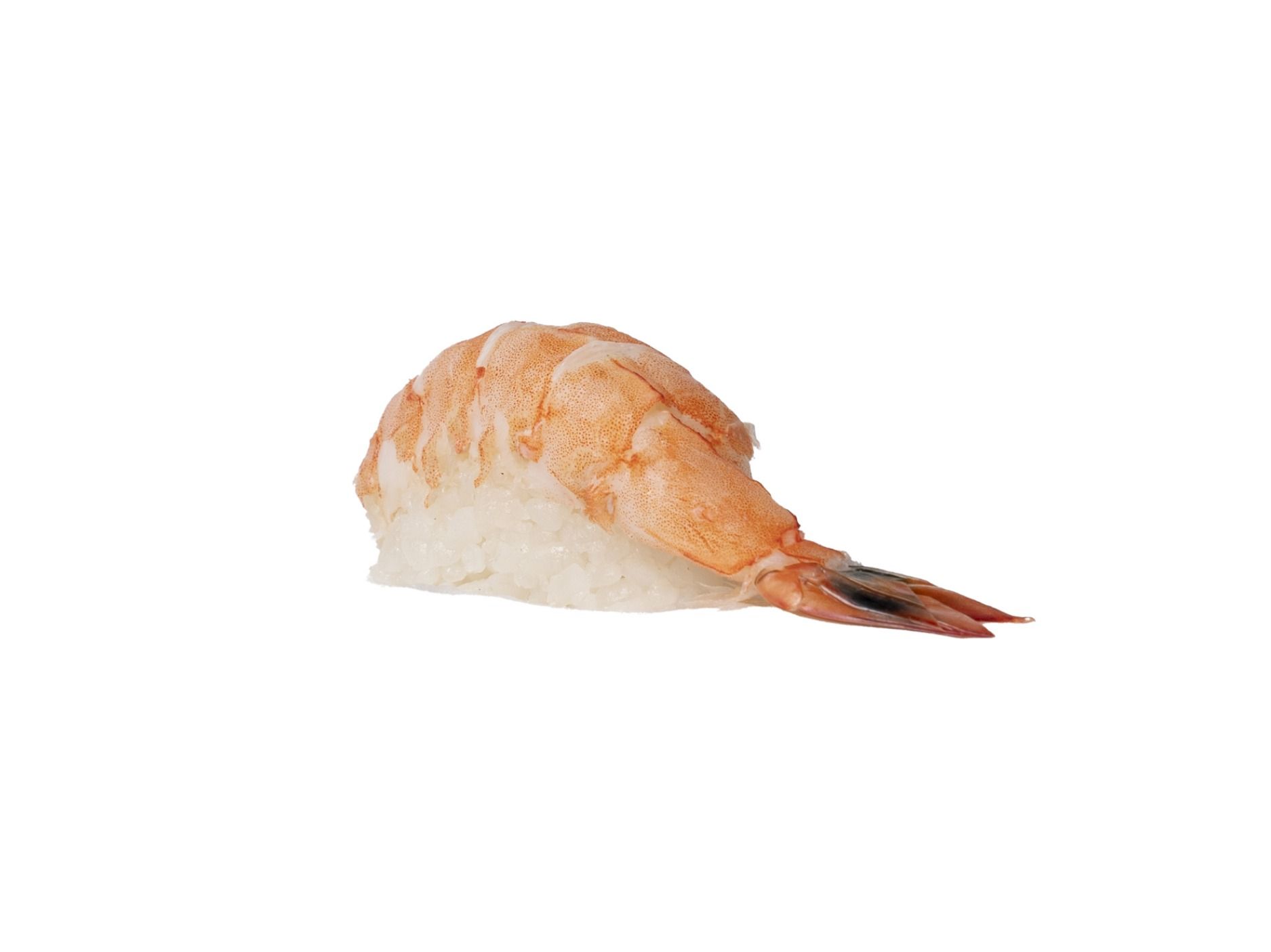 Shrimp Nigiri
