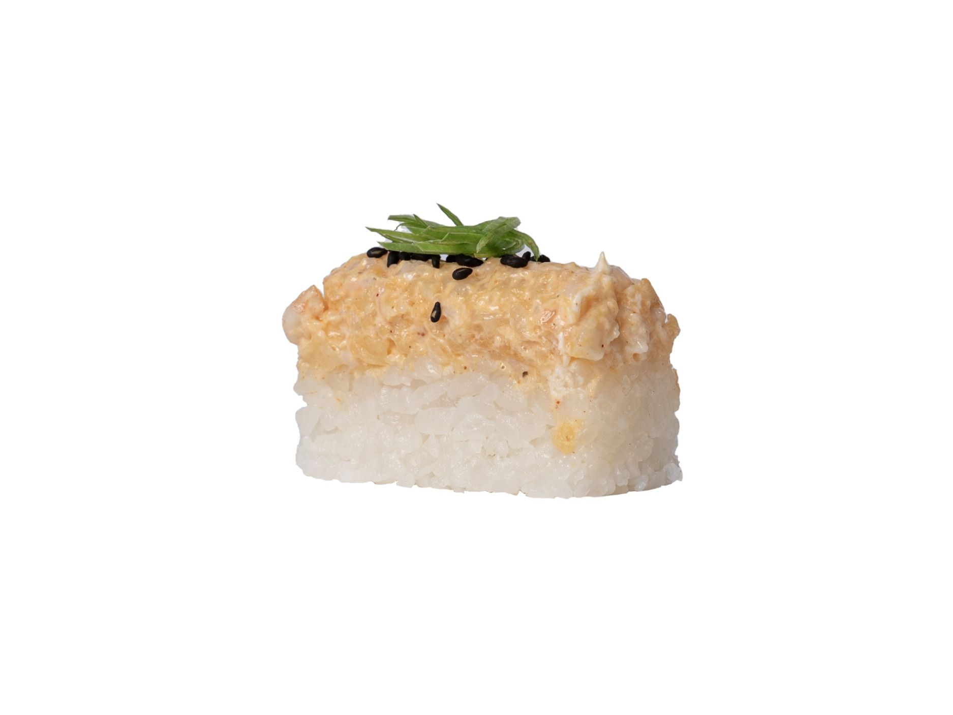 Shrimp Tempura Oshi