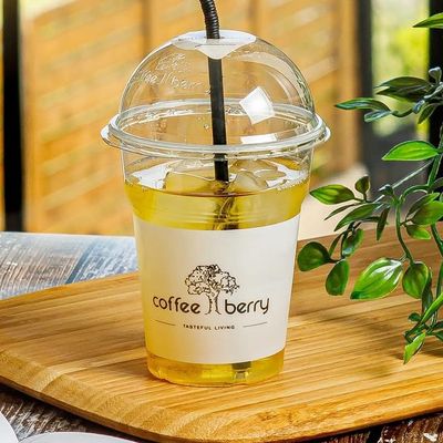 TEA OASIS Iced