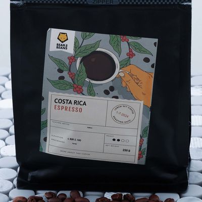 Costa Rica Coffee Beans (250g)