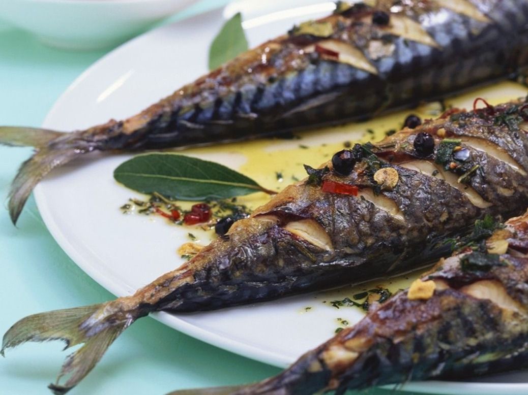 Grilled Mackerel meal