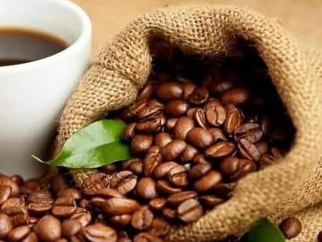 Plain Medium Columby Coffee