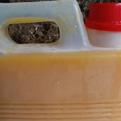 2 Liters Mango